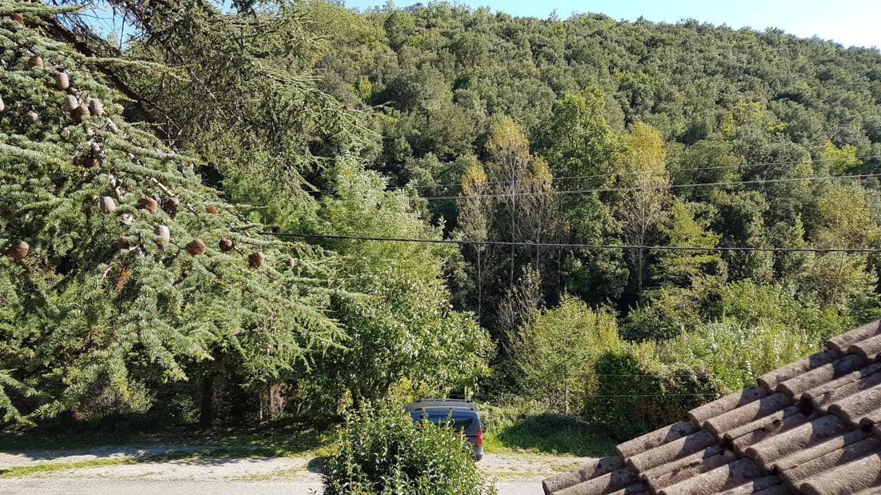 Le Clos Du Cedre Saint Sebastien d'Aigrefeuille エクステリア 写真