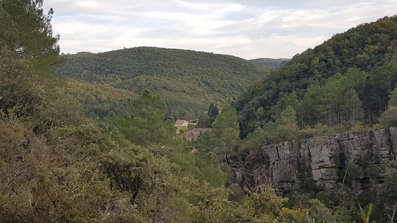 Le Clos Du Cedre Saint Sebastien d'Aigrefeuille エクステリア 写真