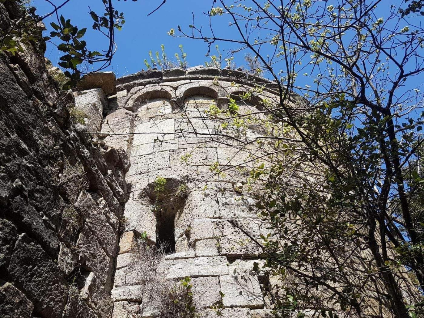 Le Clos Du Cedre Saint Sebastien d'Aigrefeuille エクステリア 写真