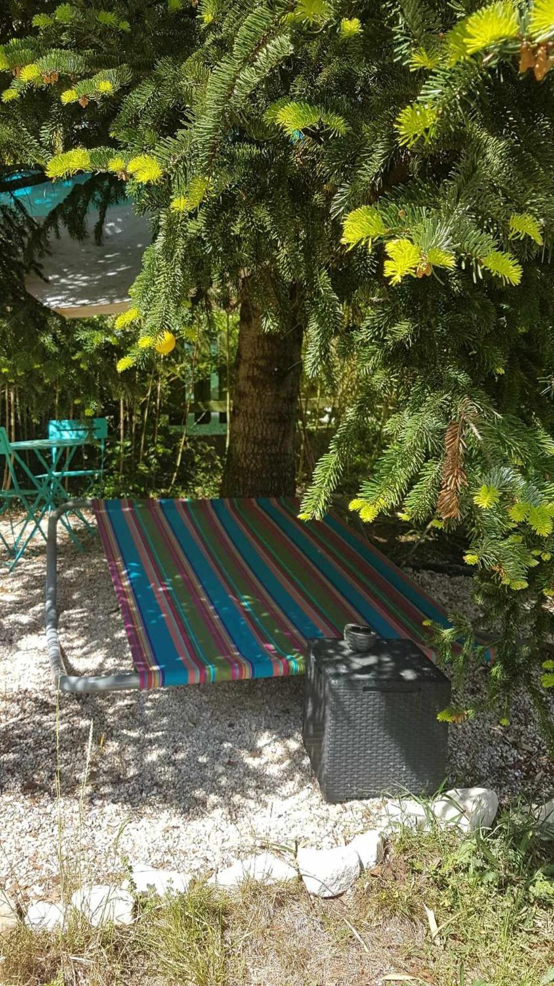 Le Clos Du Cedre Saint Sebastien d'Aigrefeuille エクステリア 写真